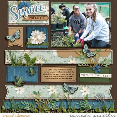 Service Project