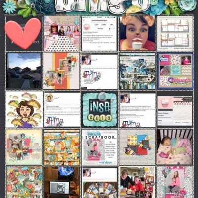 iNSD bingo