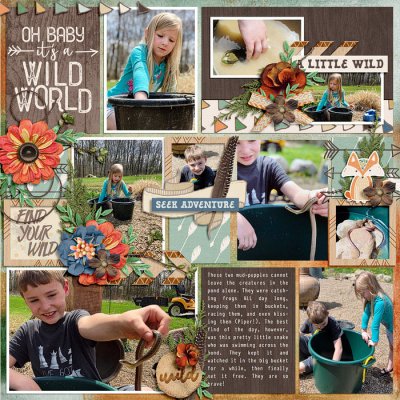 Wild World