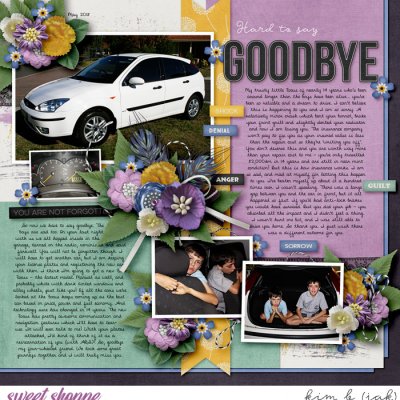 Hard to Say Goodbye