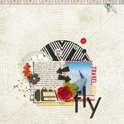 Fly