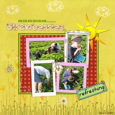 Strawberry Picking