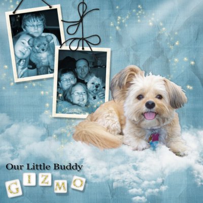 Our Little Buddy