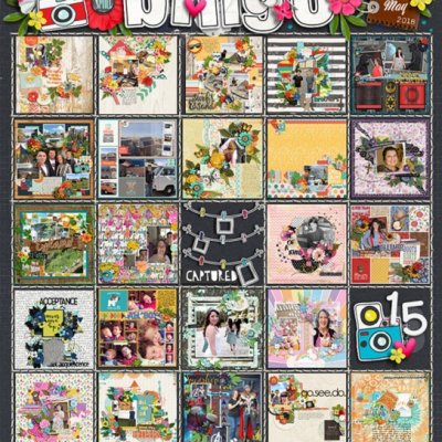 May 2018 Bingo Blackout!