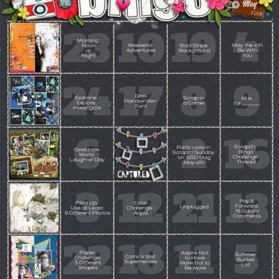 May 2018 Bingo Card