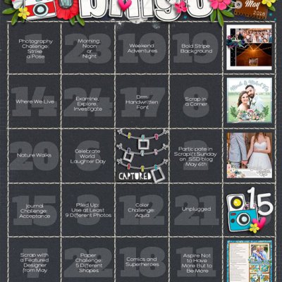 Angie's May 2018 Bingo card