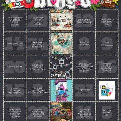May Bingo Card 2018