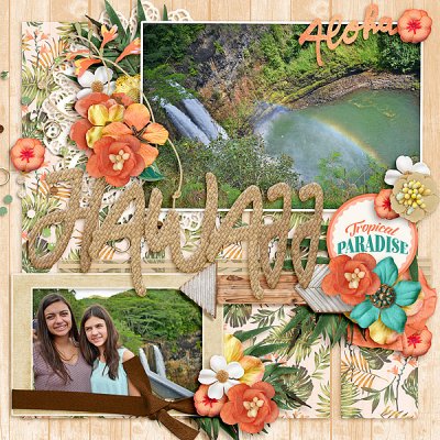 Aloha Hawaii