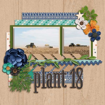 Plant 18
