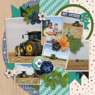 Plant 18