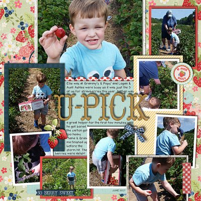 U-Pick 2017