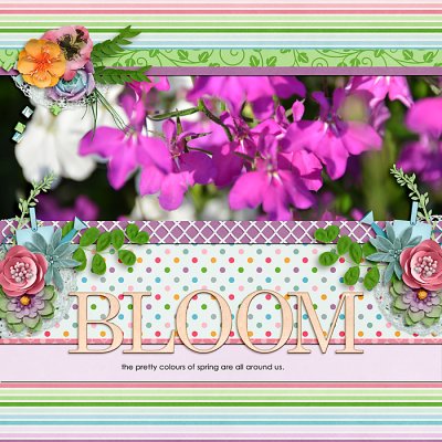 Spring Blooms