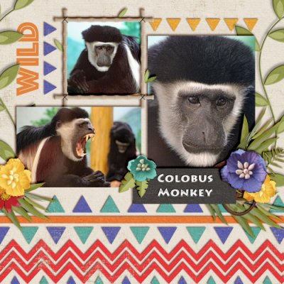 Monkey-megsc_zoobilee_temp2