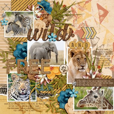wild and free