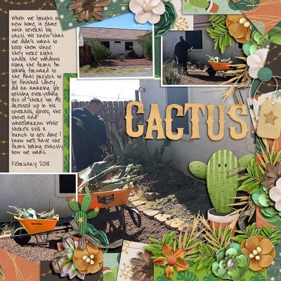 #12 - Cactus