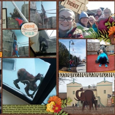 Toledo Zoo Monkey/Family