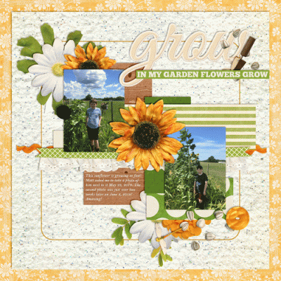 Sunflowers! June Bingo #14 Shimmer, Shine, Sunkissed