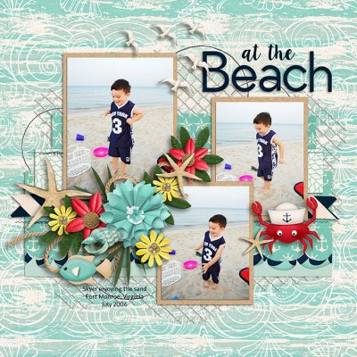 At the Beach