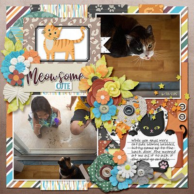 Meowsome Cute