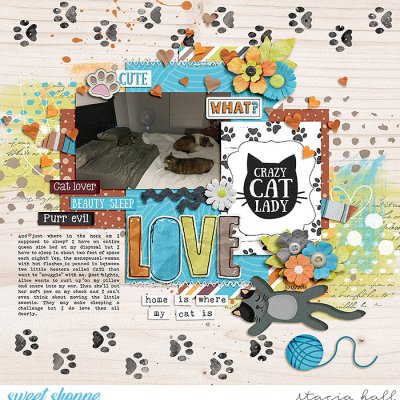 Crazy Cat Lady