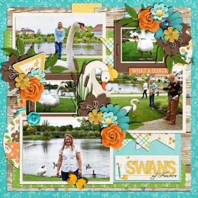 Swans of France