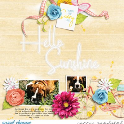 Hello Sunshine