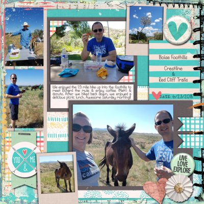 Foothills Picnic