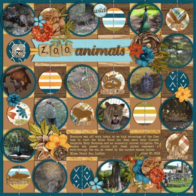Zoo Animals June 2018 Bingo #13