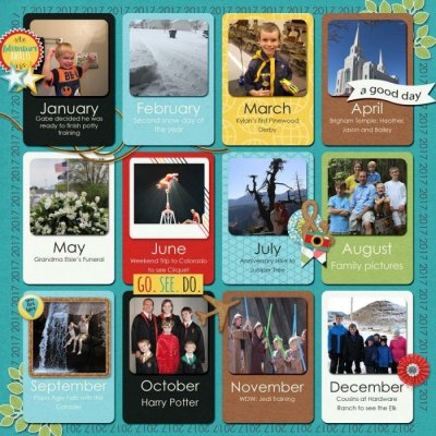 2017 backcover review