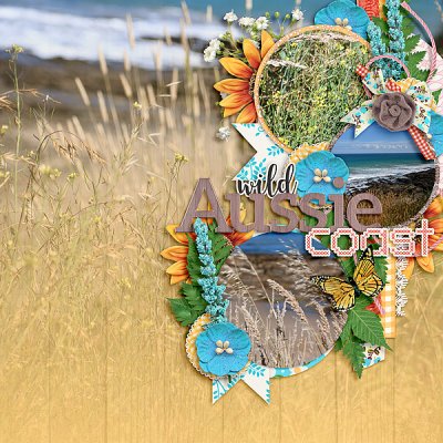 wild Aussie coast