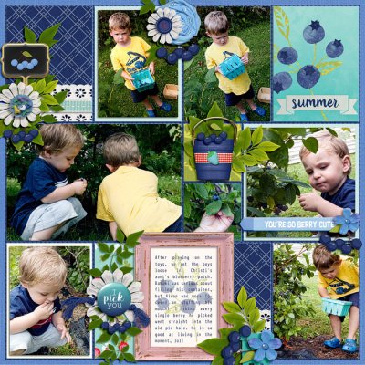 Blueberries