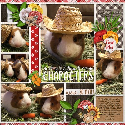 Straw hats