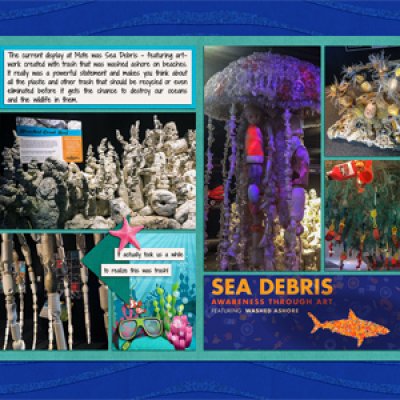 Sea Debris at Mote Marine Aquarium
