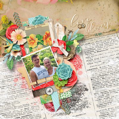 Love In Bloom
