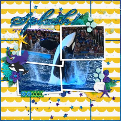 Seaworld Orca July 2018 Bingo #11