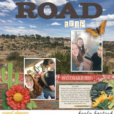 Road Trip