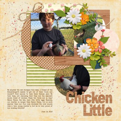 Chicken Little July 2018 Bingo #16