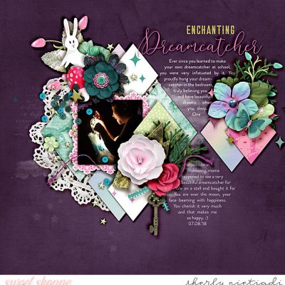 Enchanting dreamcatcher