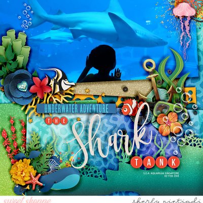 the shark tank