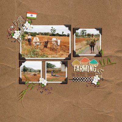 India Farming