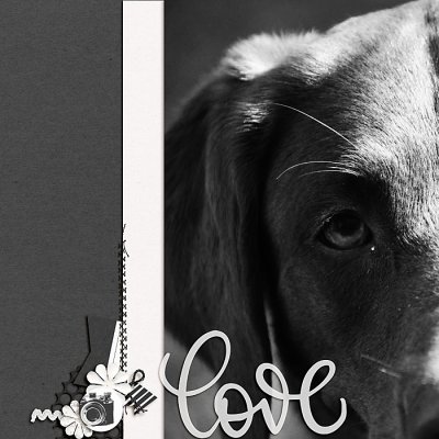 Love is a Wet Nose