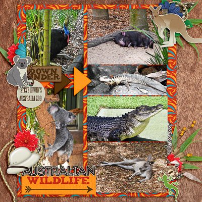 Australian Wildlife