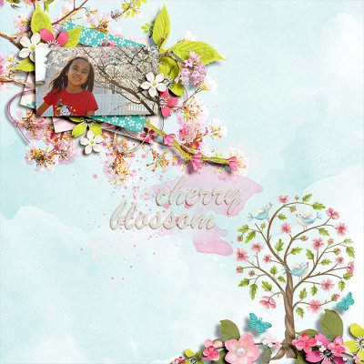 Cherry Blossom