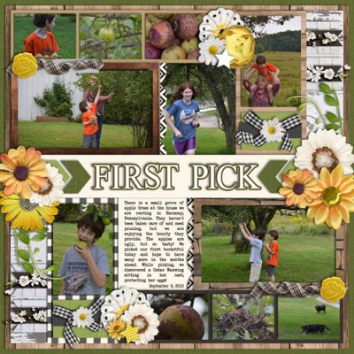 First Apple Picking August 2018 Bingo #3