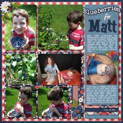Blueberries for Matt August 2018 Bingo #14