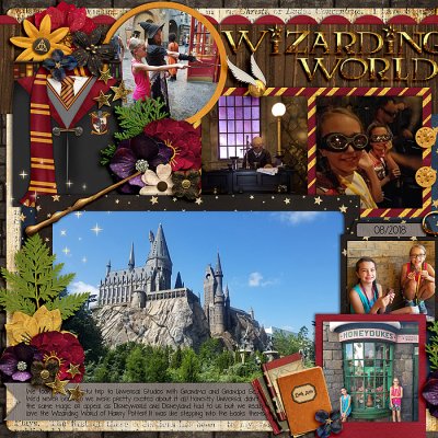 Left Side - Wizarding World of Harry Potter