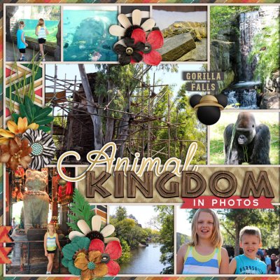 Animal Kingdom in Photos (left)