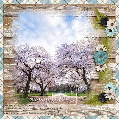 Beautiful World