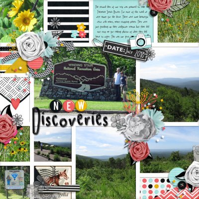 New Discoveries July 2018