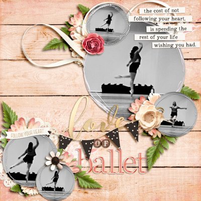 Love of Ballet